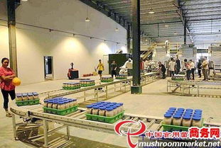 河北光明食品集團臨西縣食用菌工廠化建設項目圓滿竣工，助力現代農業發展